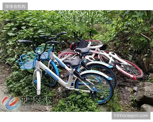 两万台社区智能单车连入政务云呈现全区居民卡路里消耗图
